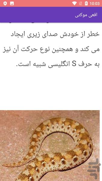 آشنایی با مارهای سمی - عکس برنامه موبایلی اندروید