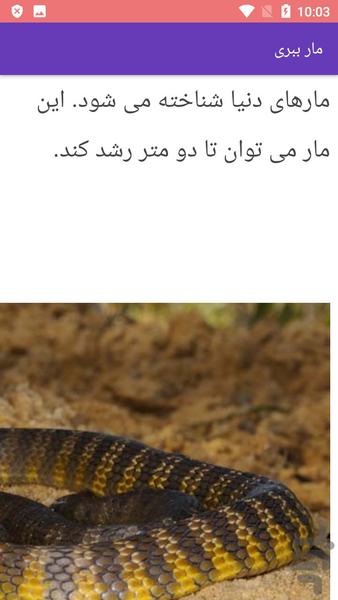 آشنایی با مارهای سمی - عکس برنامه موبایلی اندروید