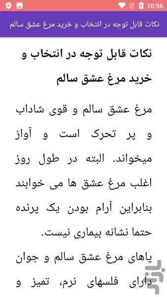 آموزش پرورش مرغ عشق - Image screenshot of android app