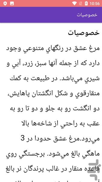 آموزش پرورش مرغ عشق - عکس برنامه موبایلی اندروید