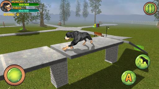 Rottweiler Dog Life Simulator - عکس بازی موبایلی اندروید