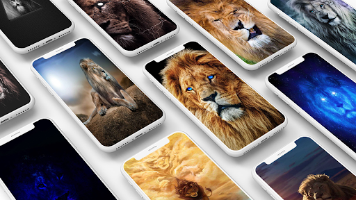 Lion King Wallpapers - Image screenshot of android app