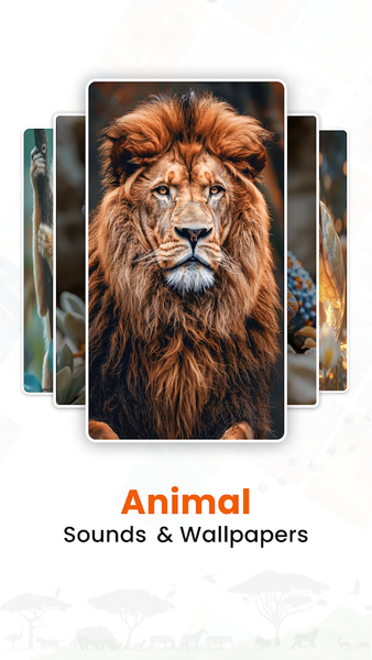 Animal Sounds & Wallpapers - Image screenshot of android app