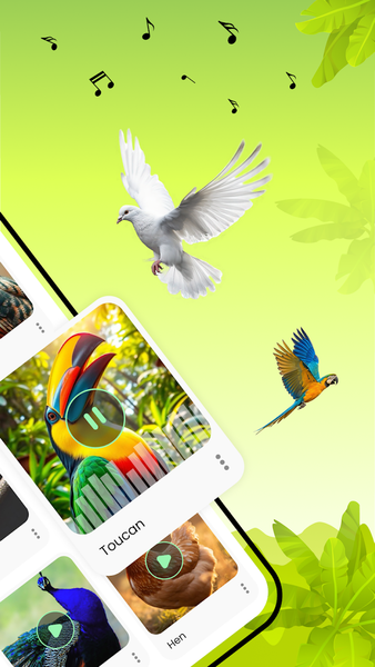 Birds Sounds - عکس برنامه موبایلی اندروید