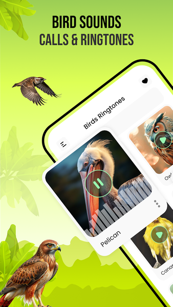 Birds Sounds - عکس برنامه موبایلی اندروید