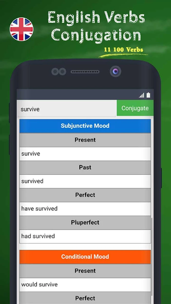 English Verbs Conjugation - Image screenshot of android app