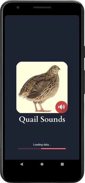 Quail Sounds - Image screenshot of android app