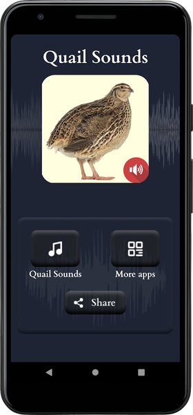 Quail Sounds - Image screenshot of android app