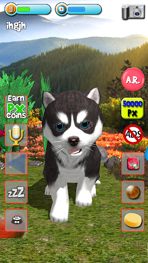 Talking Puppies - virtual pet - Gameplay image of android game