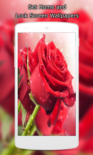 Rose Wallpapers HD - عکس برنامه موبایلی اندروید