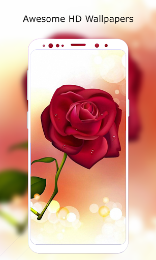 Rose Wallpapers HD - عکس برنامه موبایلی اندروید