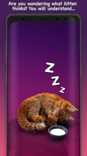 My Kitten : Virtual Pet - عکس برنامه موبایلی اندروید