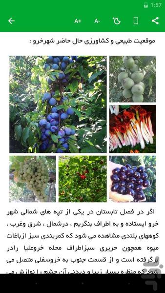 بام های طلایی - عکس برنامه موبایلی اندروید
