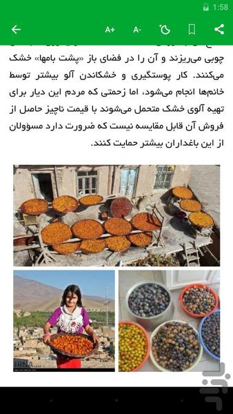 بام های طلایی - عکس برنامه موبایلی اندروید