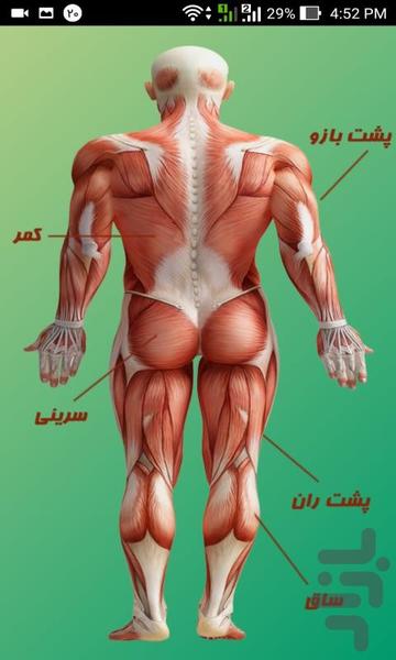 بدن ساز - عکس برنامه موبایلی اندروید