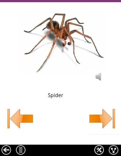 Learn English - عکس برنامه موبایلی اندروید