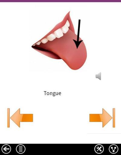 Learn English - عکس برنامه موبایلی اندروید