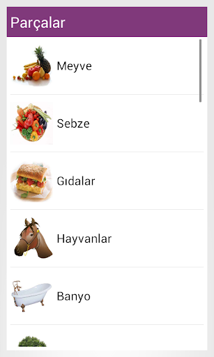 Learn Turkish - Image screenshot of android app