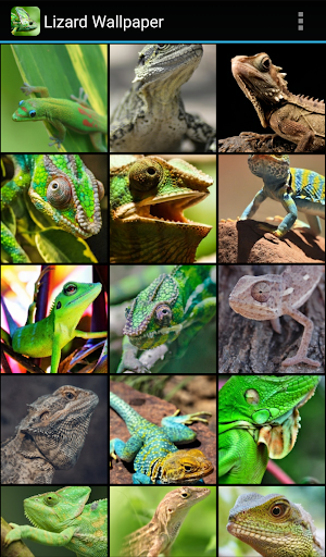 Lizard Wallpaper - Image screenshot of android app