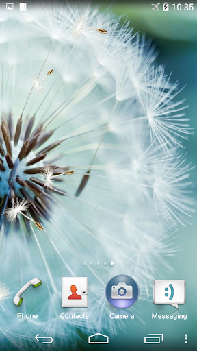 Dandelion Live Wallpaper - Image screenshot of android app