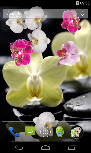 Orchid Live Wallpaper - Image screenshot of android app