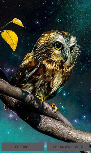 Golden Owl Live Wallpaper - Image screenshot of android app