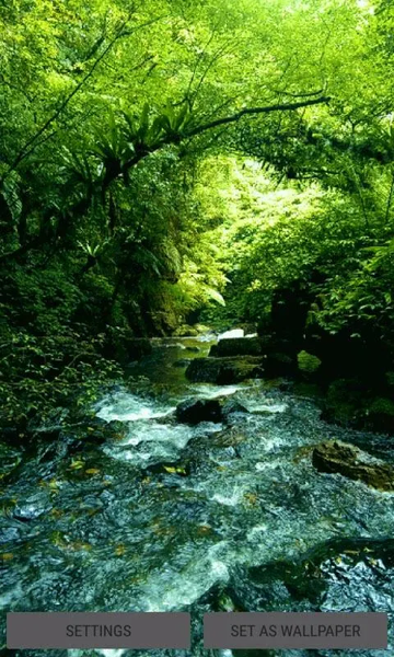 Green Forest River LWP - Image screenshot of android app