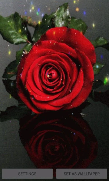 Magical Red Flower LWP - Image screenshot of android app