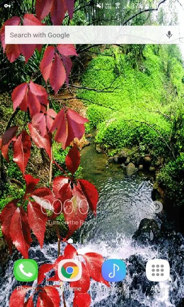 Nature Pond Live Wallpaper - Image screenshot of android app