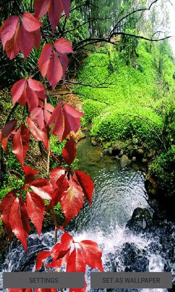 Nature Pond Live Wallpaper - Image screenshot of android app