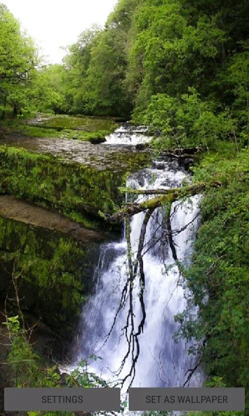 Nature View Live Wallpaper - عکس برنامه موبایلی اندروید