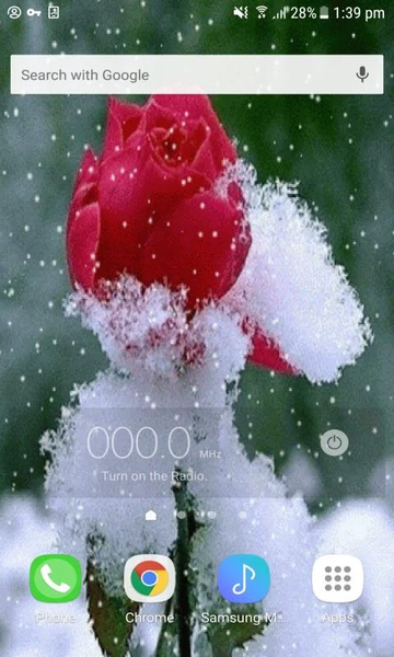 Snowy Red Rose LWP - Image screenshot of android app