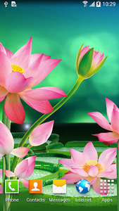 Lotus Live Wallpaper for Android - Download | Cafe Bazaar Lotus Live Wallpaper for Android - Download | Cafe Bazaar