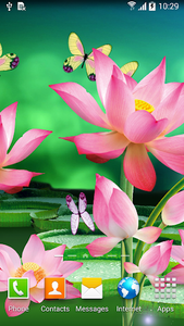 Lotus Live Wallpaper for Android - Download | Cafe Bazaar Lotus Live Wallpaper for Android - Download | Cafe Bazaar