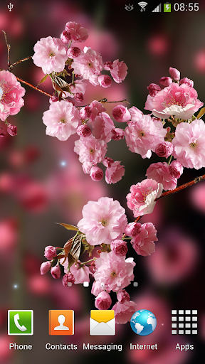 Sakura Live Wallpaper - عکس برنامه موبایلی اندروید