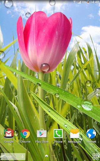 Spring Live Wallpaper - عکس برنامه موبایلی اندروید