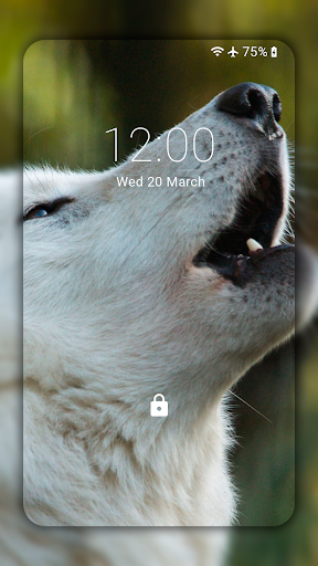 Wolf Wallpaper HD: Backgrounds - Image screenshot of android app