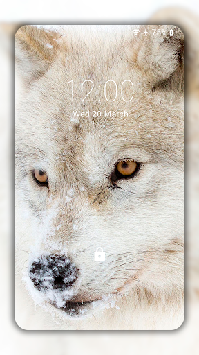 Wolf Wallpaper HD: Backgrounds - Image screenshot of android app