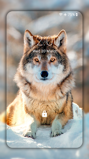 Wolf Wallpaper HD: Backgrounds - Image screenshot of android app