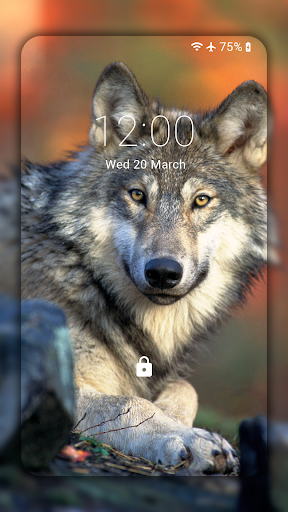 Wolf Wallpaper HD: Backgrounds - Image screenshot of android app
