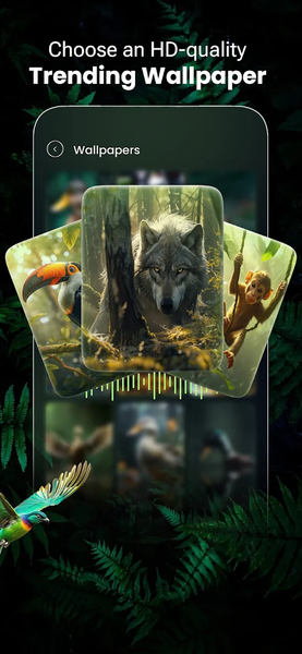 Animal Sounds & Ringtones - عکس برنامه موبایلی اندروید