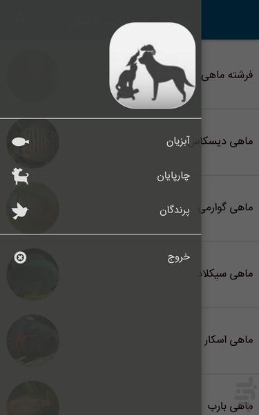 پتیاد(نگهداری از حیوانات خانگی) - عکس برنامه موبایلی اندروید