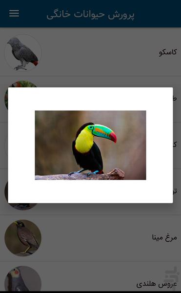 پتیاد(نگهداری از حیوانات خانگی) - عکس برنامه موبایلی اندروید