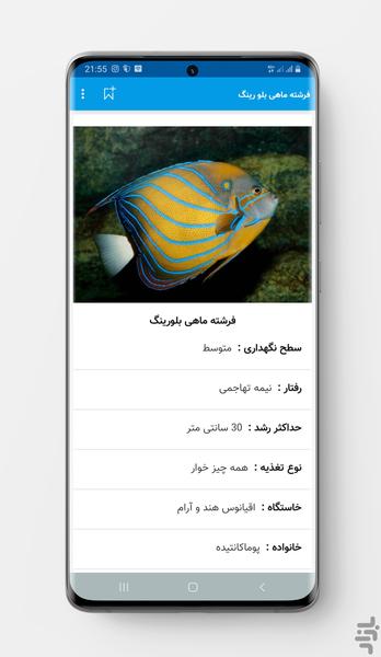 Marine Aquarium - Image screenshot of android app