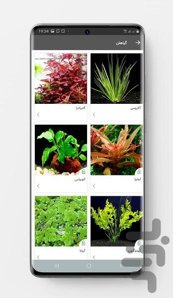 Plant Aquarium - عکس برنامه موبایلی اندروید