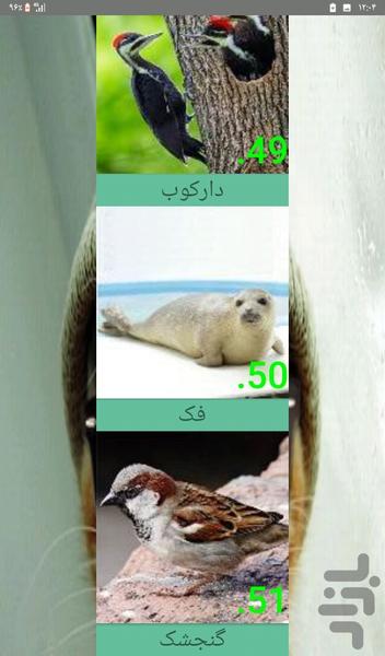 Animal sunds - Image screenshot of android app