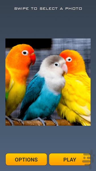 Cute Birds Puzzle - عکس بازی موبایلی اندروید