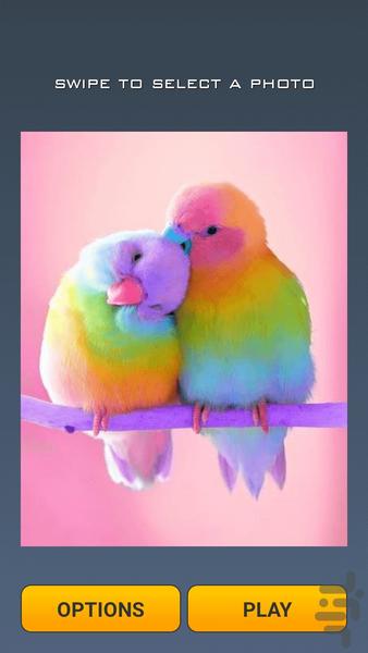 Cute Birds Puzzle - عکس بازی موبایلی اندروید