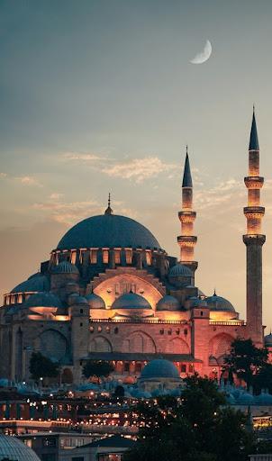 Istanbul Wallpapers - Image screenshot of android app