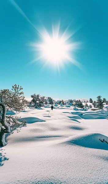 Snow Wallpapers - Image screenshot of android app